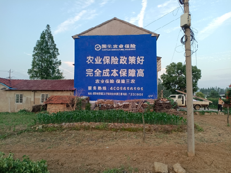 会同墙体广告为何受追捧?