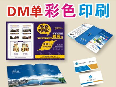 会同单页印刷,色彩搭配简单。
